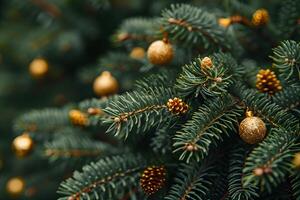 Festive Holiday Decor with Gold Baubles on Evergreen Branches for Christmas Design photo