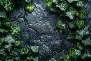 Lush Ivy Leaves on Textured Stone Background for Nature and Greenery Themes photo