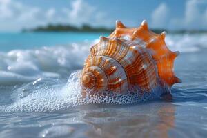 Idyllic Beach Scene with Seashell and Ocean Waves for Summer Vacation Themes photo