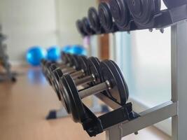 Row of dumbbells in gym, No people, copy space photo