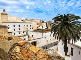 Top view of the Palace of the Dey in Casbah of Algiers photo