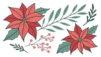 Set of watercolor christmas poinsettia and leaves. isolated on transparent background vector
