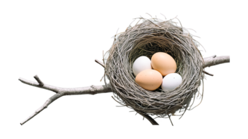 Soft and tender, this nest shelters eggs in a cozy, rustic home. The blend of eco elements and vintage charm reflects the nurturing care and balance of rural nature and springtime vitality. png