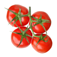 a group of fresh tomatoes in one branch isolated from the background png