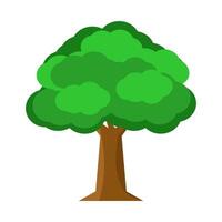 tree isolated on white background vector