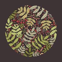 Circular design element, round decoration or backdrop composed of gorgeous rowan tree branches with red berries and leaves on black background. Natural illustration in modern flat style vector