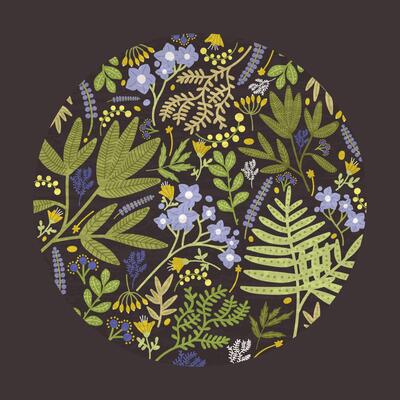 Round floral decorative design element, backdrop or decoration consisted of colorful wild blooming meadow flowers, flowering herbs and forest ferns on black background. Natural illustration
