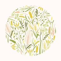 Circular decorative design element or botanical decoration consisted of beautiful wild meadow herbs and ears or spikes of cereal plants on white background. Natural illustration in flat style vector