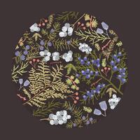 Round design element, decoration or circular backdrop composed of beautiful autumn leaves, berries and floral buds on black background. Botanical seasonal illustration in modern flat style vector