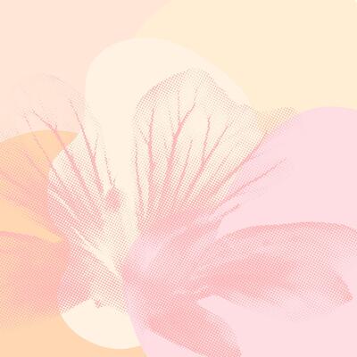 Abstract floral background with flowers in pastel colors.