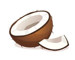 Half and piece of natural fresh coconut isolated on a white background. vector