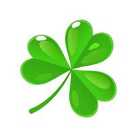 bright green lucky clover with four leafs and sparkles for St. Patricks Day isolated on white background. vector