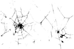 grunge texture of spider web on dark background. Black seamless pattern with creepy cobweb. Spooky design isolated for Halloween. vector