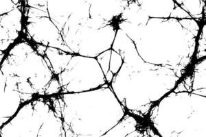 grunge texture with crack overlay on distressed wall. Stone pattern and rough concrete surface. vector