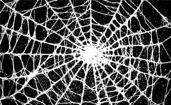 Halloween background with spider web pattern and black grunge texture. Isolated dark graphic element for horror poster or decoration.