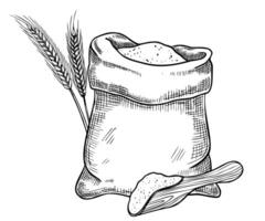 Sack of Flour with Scoop and Spikelets illustration. Linear drawing of burlap bag whole of cereal grain. Ingredient for pastry and bakery. Outline monochrome sketch for product label. vector