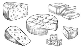 illustration with slices of Cheese. Linear drawing of dairy products painted by black inks for cookbook or menu. Outline etching of food. Monochrome etching of gouda or cheddar in retro style. vector