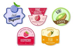Retro fruits banner and labels. Different juices stickers. Packaging tags with pear, raspberry, kiwi, pomegranate. Set of seasonal fruits labels stickers and marks or badges template for packaging vector