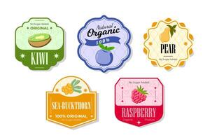 Retro fruits banner and labels. Different juices stickers. Packaging tags with seabuckthorn, raspberry, pear, kiwi. Set of seasonal fruits labels stickers and marks or badges template for packaging vector