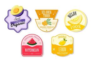 Retro fruits banner and labels. Different juices stickers. Packaging tags with lemon, watermelon, melon, seabuckthorn. Set of seasonal fruits labels stickers and marks or badges template for packaging vector
