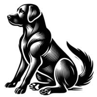 Black and white dog sitting on a white background vector