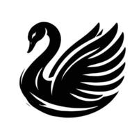 A black swan on a white background vector