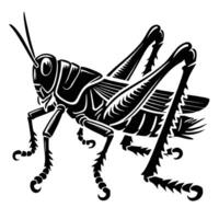 A black and white drawing of a grasshopper vector
