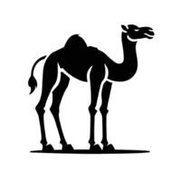 A camel is standing in front of a white background vector