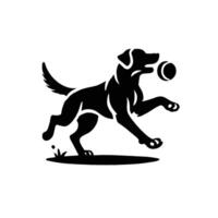 A black and white dog with a ball in its mouth vector