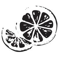 orange half icon in sketch style drawn in line art style, for different designs, patterns or textiles vector