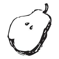 sketch style pear half icon drawn in line art style, for different designs, patterns or textiles vector