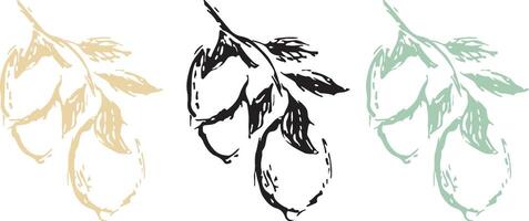 original lemon branch icon in sketch style drawn with unusual lines in different colors, for different textiles, posters or different designs vector