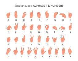 English Sign Language. Dactyl Alphabet and Numbers. Human hands showing different signs for deaf mutes. Nonverbal communication. Educational poster, banner. Isolated illustrations on white. vector