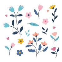 Collection of floral and botanical elements vector