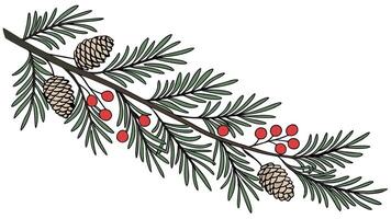 Christmas long banner. Pine tree branches garland with cones on transparent background vector
