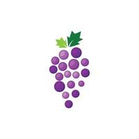 fresh grape design vector