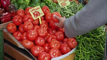 Discover Fresh Tomatoes at Your Local Market A Beautiful and Vibrant Display video