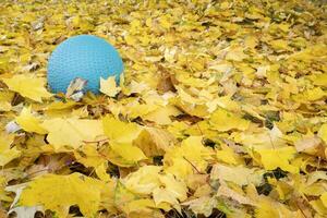 heavy rubber slam ball filled with sand in a backyard covered by yellow maple leaves, exercise and fitness concept photo