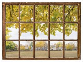 nostalgic fall landscape in residential area with a maple tree as seen from a vintage sash window photo