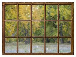 subtle fall colors of forest at dusk in Colorado as seen from a retro sash window photo