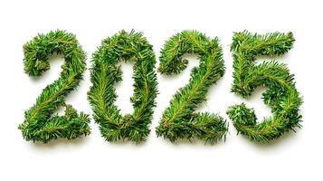 Year 2025 is artistically represented using green pine branches arranged to form each number, creating festive, nature-inspired design on white background. New Year and holiday eco-friendly designs photo