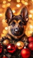 Charming German Shepherd puppy peeks out from festive Christmas display, featuring vibrant red and gold ornaments. Vertical banner for holiday design, greeting cards, seasonal marketing photo