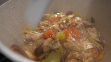 Cooking Chicken Stirfry with Vegetables in a Pan involves stirfrying ingredients on a stovetop video
