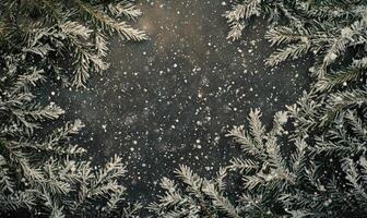 A snowy background with a tree in the foreground photo