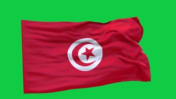 Tunisia Flag 3d render waving animation motion graphic isolated on green screen background video