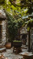 Grape press stands in courtyard of stone facility , wallpaper photo