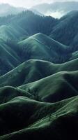 Fields patterning hillsides towards forest boundary , photorealistic wallpaper photo