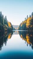 Foliage reflects in the still surface of a lake , photorealistic wallpaper photo