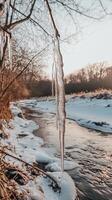 Icicles hang from branches over the frozen stream surface , photorealistic photo