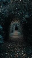 Leaf carpet on a forest path through the woods , photorealistic photo
